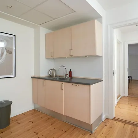 Spacious 3b W Double Beds Centre 아파트 코펜하겐